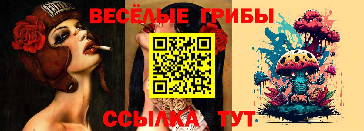 Псилоцибиновые грибы Psilocybe Ковров